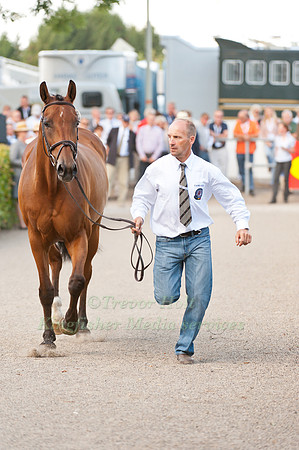 Joris Van Springel and Limestone