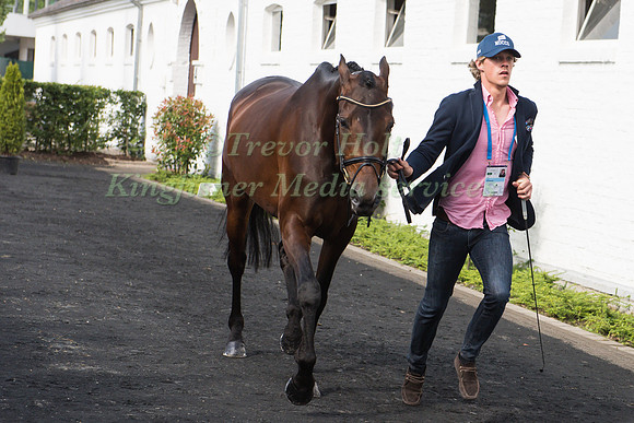 Ludwig Svennerstal (SWE) and Franzipan
