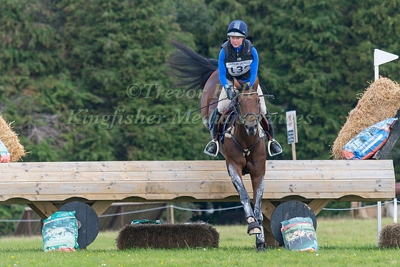 THERESE VIKLUND AND VISCERA