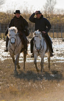 Camargue  cowboys or Guardians