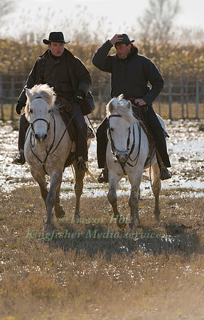 Camargue  cowboys or Guardians