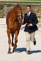 William Fox-Pitt and Idalgo