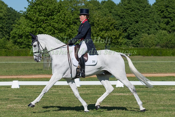 PIPPA FUNNELL (GBR) RIDING BILLY THE BIZ IN THE DRESSAGE PHASE OF THE CICO THREE STAR AT THE 2017 HOUGHTON INTERNATIONAL HORSE TRIALS