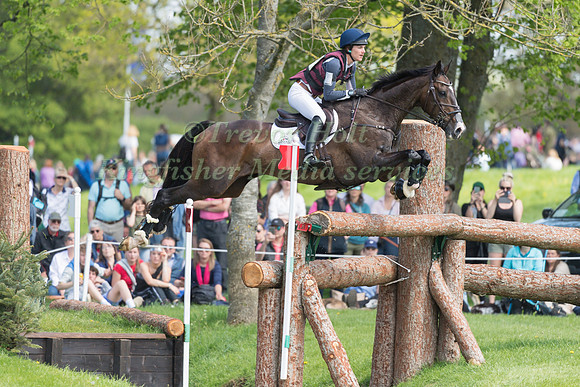Ariel Grald (USA) and Leamore Master Plan