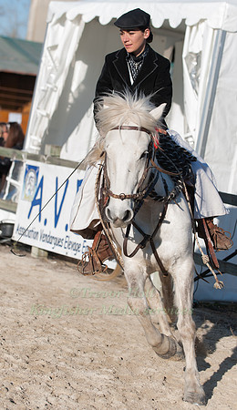 Horse and rider taking part in the dressage test at the Camagri