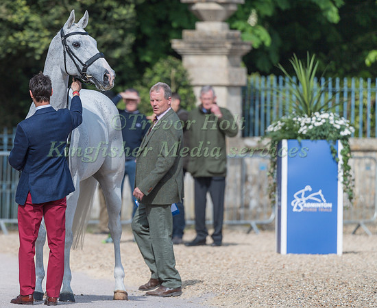 Harry Meade (GBR) and Away Cruising