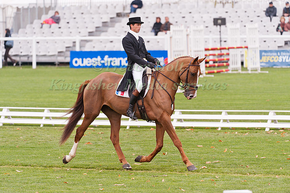 Mathieu Lemoine  and Petrus de la Triballe