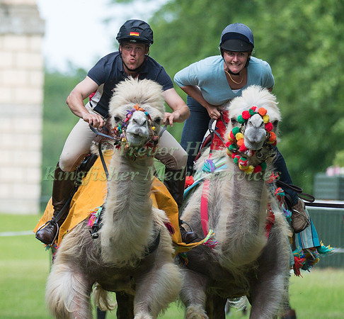ANDREAS OSTHOLT  AND HILARY MANNERS TAKE PART IN THE CAMEL RACING AT THE 2017 HOUGHTON INTERNATIONAL HORSE TRIALS