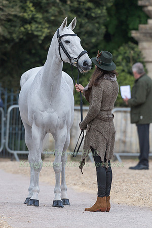 Fiona Kashel (GBR) and Creevagh Silver de Haar