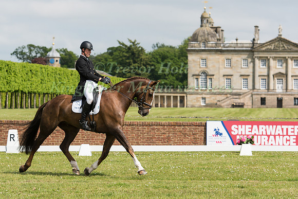 Tom  Rowland (GBR) riding  Possible Mission