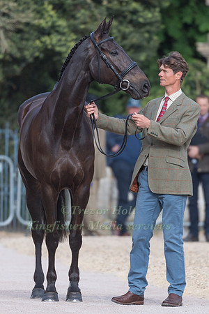 William Fox-Pitt (GBR) and Oratorio