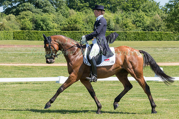 LUDWIG SVENNERSTAL (SWE) RIDING STINGER IN THE DRESSAGE PHASE OF THE CICO THREE STAR AT THE 2017 HOUGHTON INTERNATIONAL HORSE TRIALS