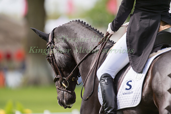 Jonelle Price (NZL) riding Classic MoetJonelle Price (NZL) ridin