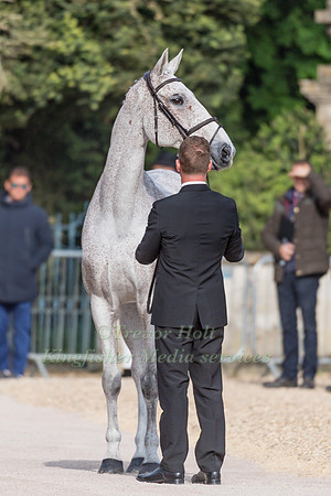 Oliver Townend (GBR) and Ballaghmor Class