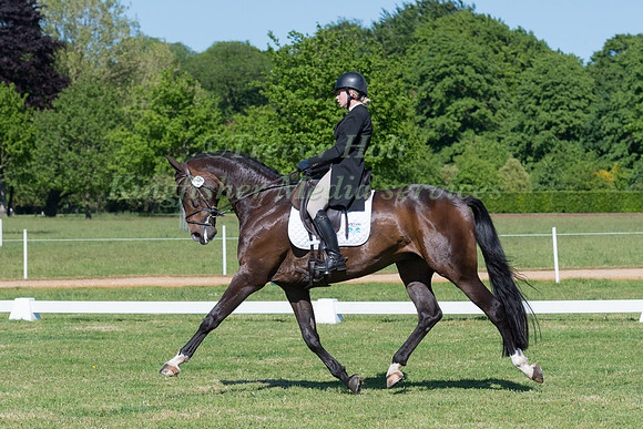 PAULIINA SWINDELLS RIDING FERRO S IN THE DRESSAGE PHASE OF THE CICO THREE STAR AT THE 2017 HOUGHTON INTERNATIONAL HORSE TRIALS