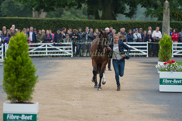 Flora Harris (GBR) and Bayano