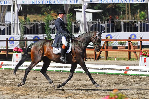 Joris Van Springel and Bold Action