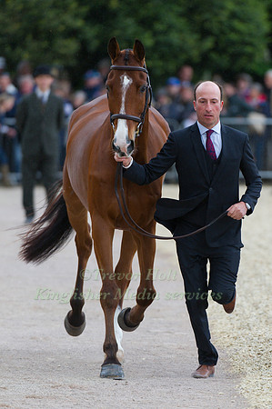 Tim Price and Ringwood Skyboy