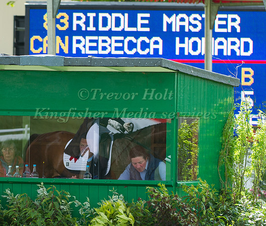 Rebecca Howard and Riddle Master reflected in the window of the judges box