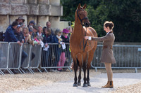 Becky Heappey (GBR) and DHI Babette K