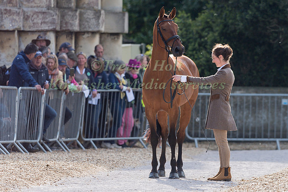 Becky Heappey (GBR) and DHI Babette K