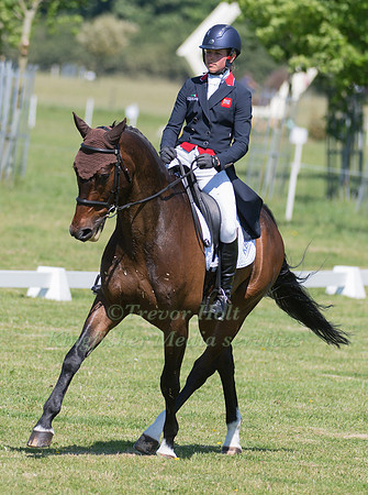 IZZY TAYLOR (GBR) RIDING CADILLAC IN THE DRESSAGE PHASE OF THE CICO THREE STAR AT THE 2017 HOUGHTON INTERNATIONAL HORSE TRIALS
