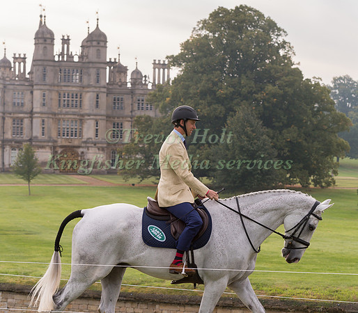 Harry Meade (GBR) and Away Cruising