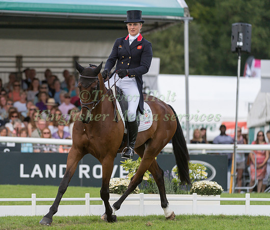 Kristina Cook (GBR) and Calvino II