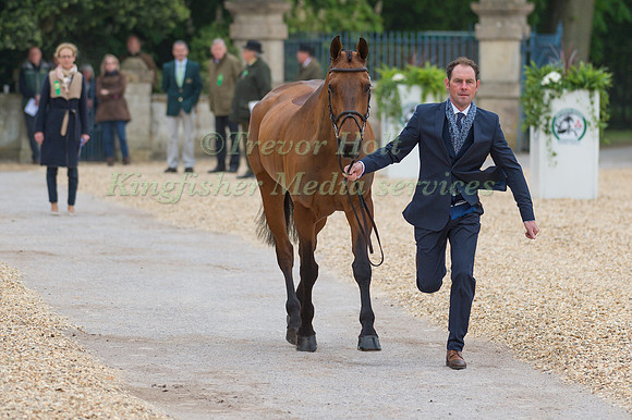 Joseph Murphy (IRL) and Sportsfield Othello at the Final  Horse Inspection of the 2017 Mitsubishi Motors Badminton Horse Trials