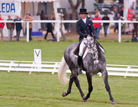 Andrew Nicholson and Tristar II