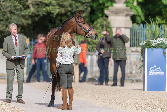 Rosalind Canter (GBR) and Lordships Graffalo