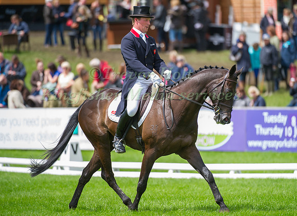 Oliver Townend and Black Tie II