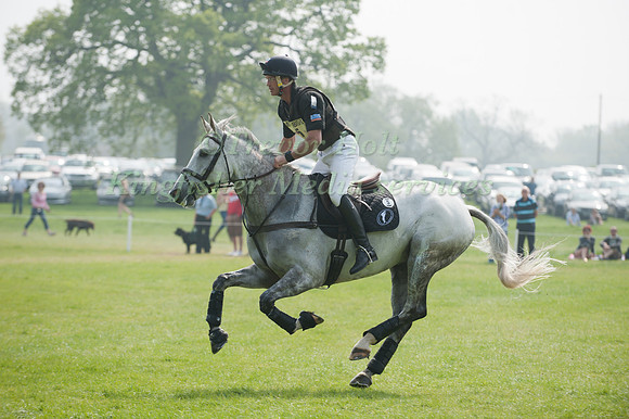 Andrew Nicholson & Avebury