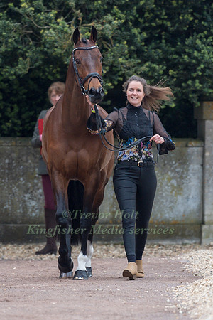 Virginia Thompson (NZL) and  Star Nouveau
