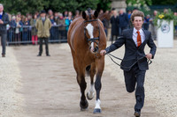 Paul Sims (GBR) and Glengarnock