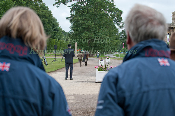 Watching the trot Up