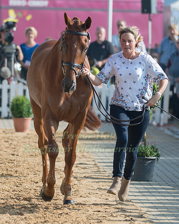 PIGGY FRENCH (GBR) AND QUARRYCREST ECHO