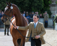 ALEXANDER BRAGG (GBR) AND  ZAGREB