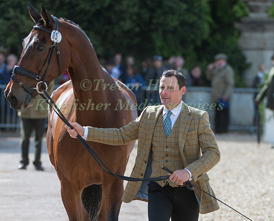 ALEXANDER BRAGG (GBR) AND  ZAGREB