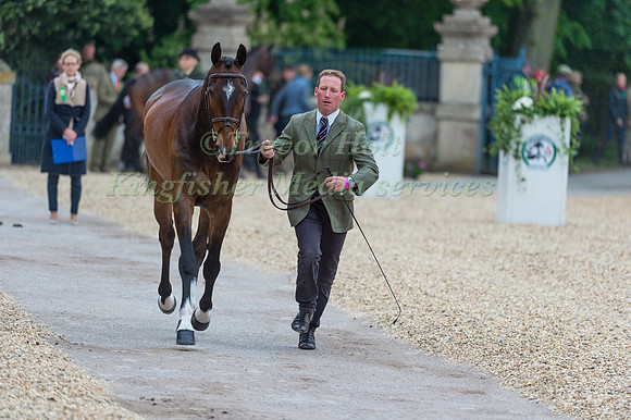 Oliver Townend (GBR) and Samuel Thomas II at the Final  Horse Inspection of the 2017 Mitsubishi Motors Badminton Horse Trials