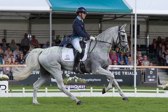 Andrew  Hoy (AUS) and The Blue Frontier