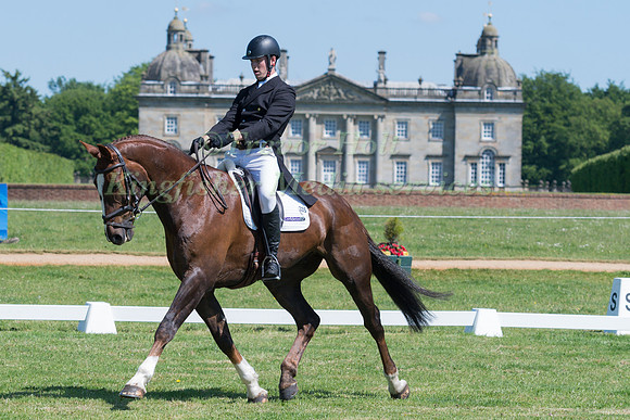TOM ROWLAND (GBR) RIDING POSSIBLE MISSION IN THE DRESSAGE PHASE OF THE CICO THREE STAR AT THE 2017 HOUGHTON INTERNATIONAL HORSE TRIALS