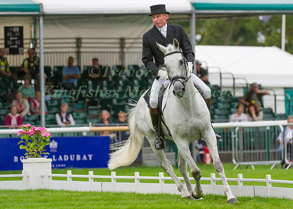 Craig Nicolai (NZL) riding Just Ironic competing in the dressage test