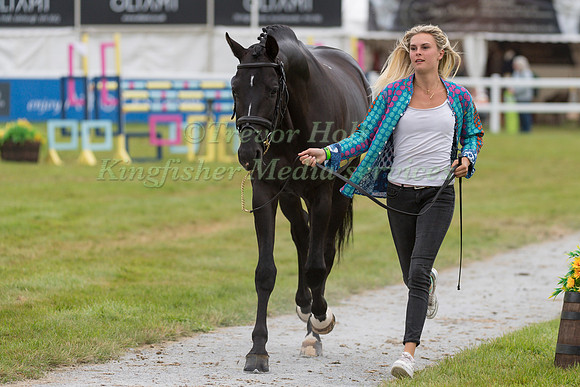 STORM STRAKER  AND VSPLESK