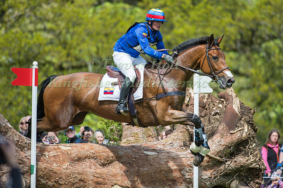 Nicolas Wettstein (ECU) riding Nadeville Merze