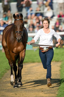 Paul Sims (GBR) riding Glengarnock taking part in the Show Jumping Phase