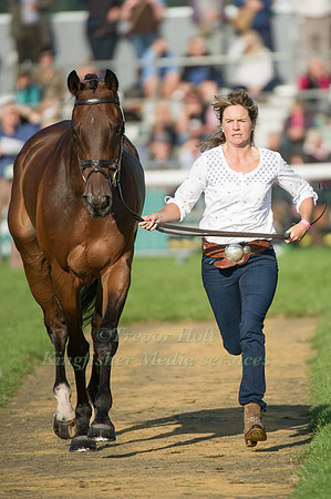 Paul Sims (GBR) riding Glengarnock taking part in the Show Jumping Phase
