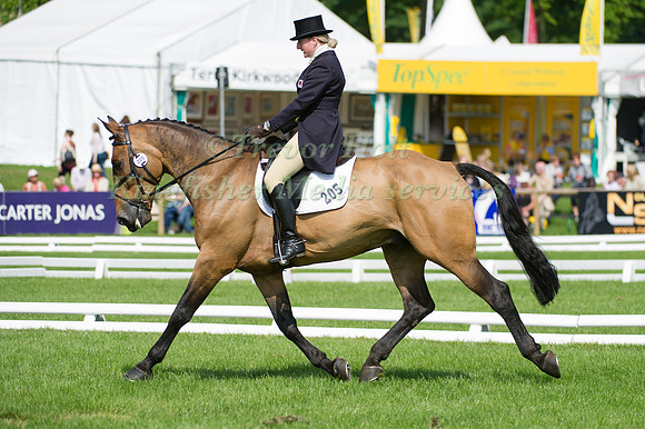 Fiona Davidson and Touch Royale