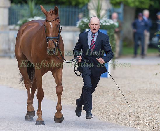Joris Vanspringel (BEL) and Creator GS