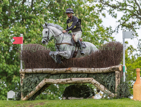 Andrew Nicholson (NZL) and  Swallow Springs